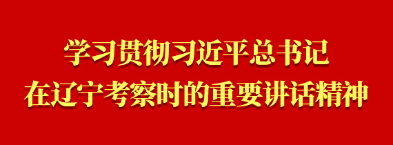 習(xí)貫徹習(xí)近平總書(shū)記在遼寧考察