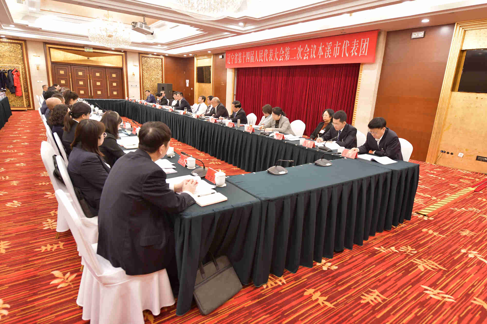 代表團(tuán)分組審議